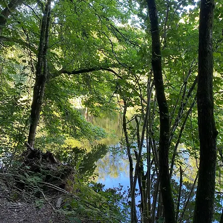 Vulkaneifel Abtei Himmerod