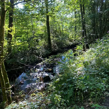 Сasa de vacaciones Vulkaneifel Abtei Himmerod *