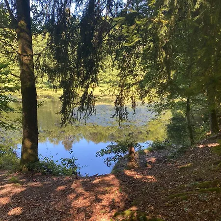 Сasa de vacaciones Vulkaneifel Abtei Himmerod Großlittgen