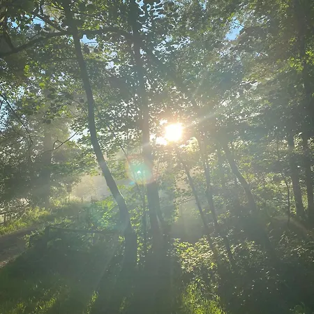 Vulkaneifel Abtei Himmerod *