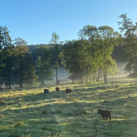 Vulkaneifel Abtei Himmerod * Großlittgen