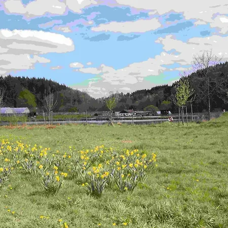 Vulkaneifel Abtei Himmerod Feriehus