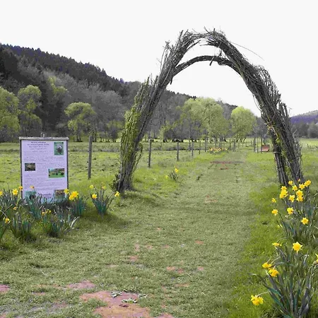 Vulkaneifel Abtei Himmerod Feriehus Großlittgen