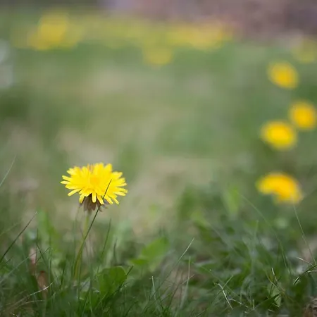 Vulkaneifel Abtei Himmerod Сasa de vacaciones Großlittgen