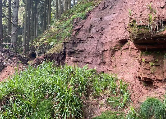 Vulkaneifel Abtei Himmerod Vakantiehuis