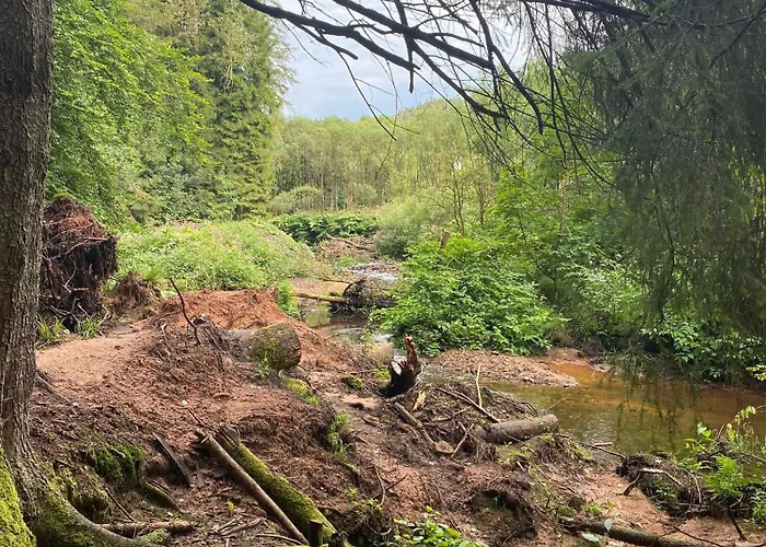 Vulkaneifel Abtei Himmerod * Großlittgen