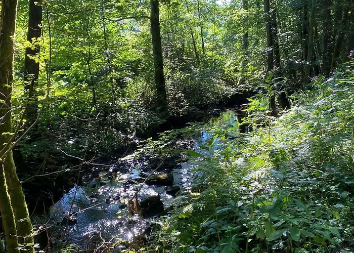 Vakantiehuis Vulkaneifel Abtei Himmerod *