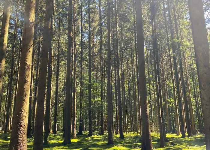 Vulkaneifel Abtei Himmerod Vakantiehuis Großlittgen