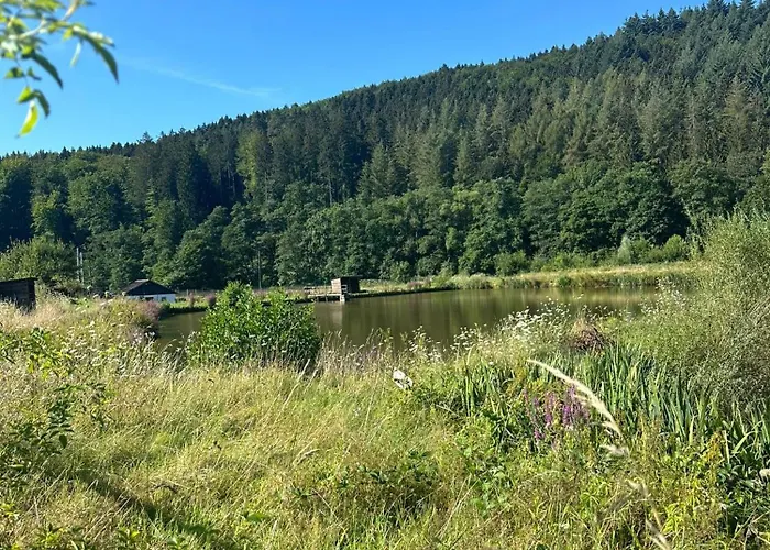 Vulkaneifel Abtei Himmerod * Großlittgen