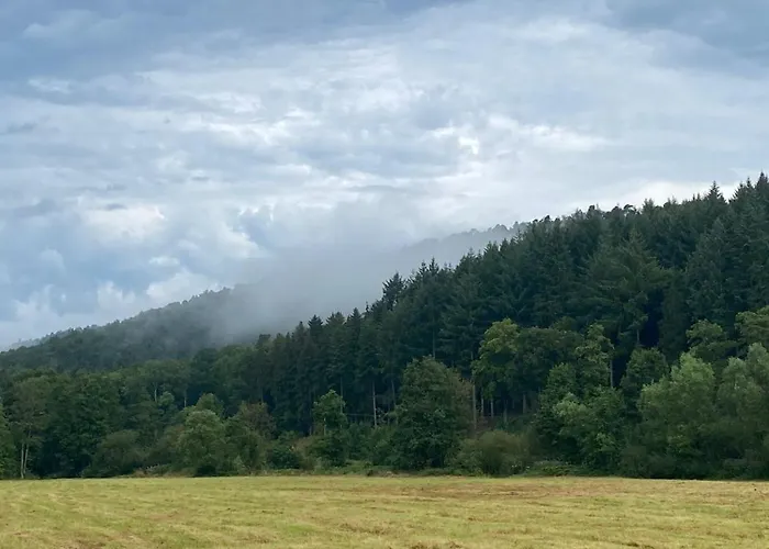 Vulkaneifel Abtei Himmerod Vakantiehuis