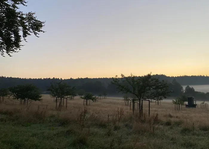 Vakantiehuis Vulkaneifel Abtei Himmerod *
