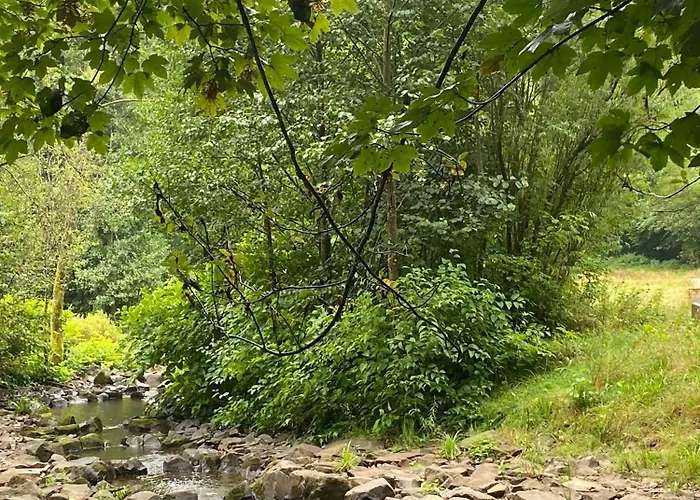 Vulkaneifel Abtei Himmerod Vakantiehuis Großlittgen