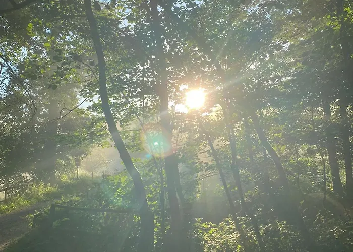 Vulkaneifel Abtei Himmerod *