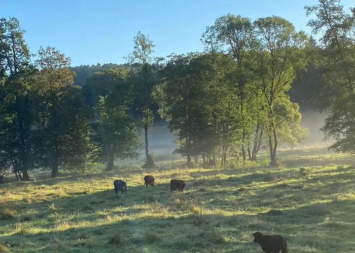 Vulkaneifel Abtei Himmerod * Großlittgen