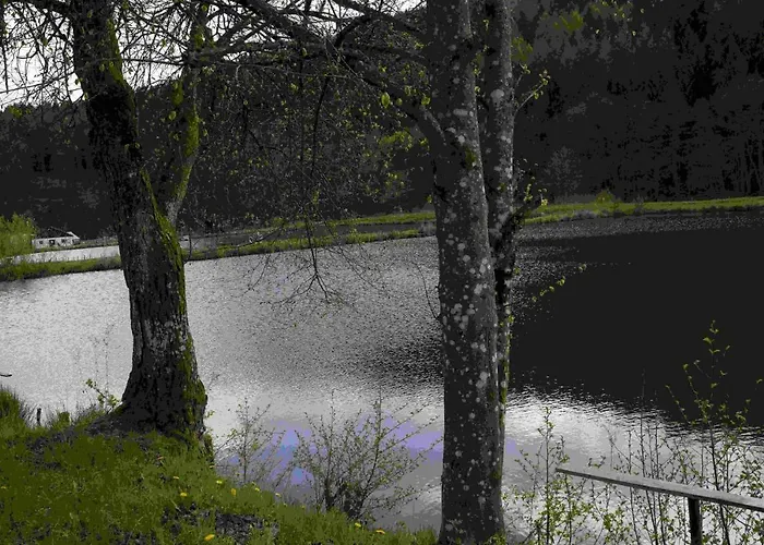 Vulkaneifel Abtei Himmerod Vakantiehuis Großlittgen