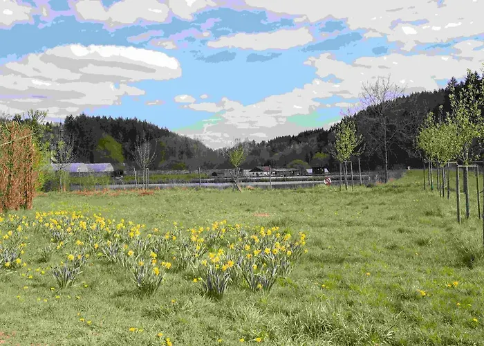 Vulkaneifel Abtei Himmerod Casa de Férias