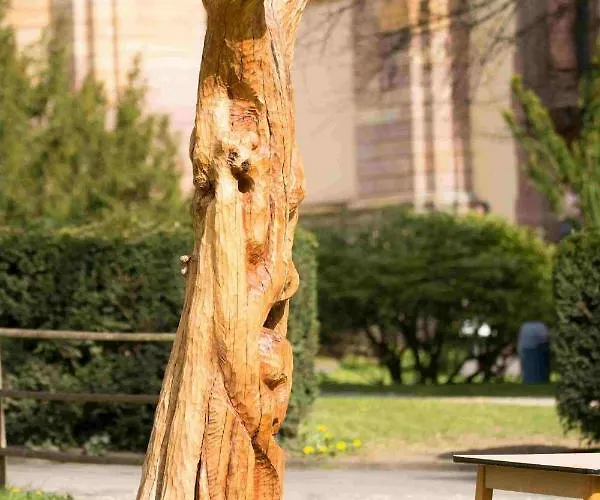 Vakantiehuis Vulkaneifel Abtei Himmerod