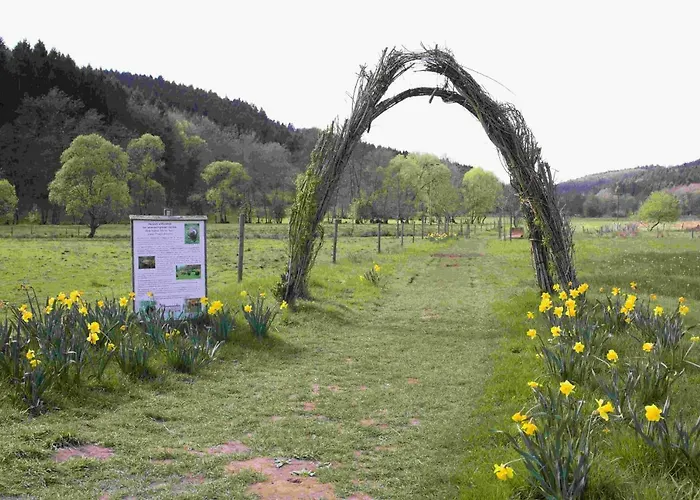 Vulkaneifel Abtei Himmerod Vakantiehuis Großlittgen